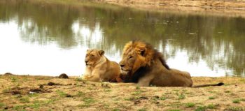 Safari Lodge, Hoedspruit, Kruger National Park