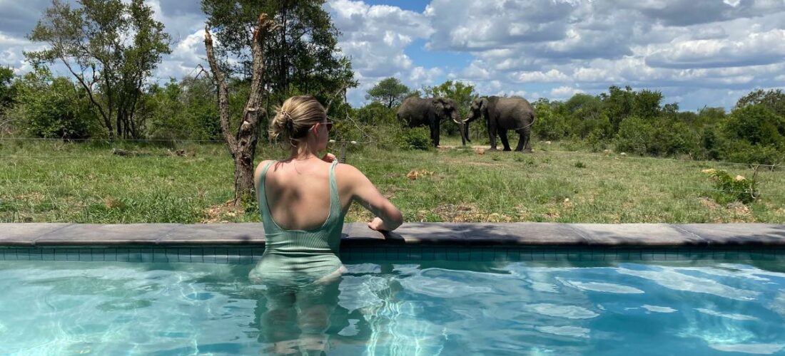 Kwambili Game Lodge, Hoedspruit, Kruger Park